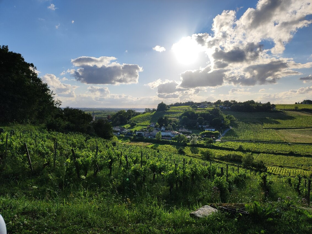 Château Cassagne Haut-Canon景点图片