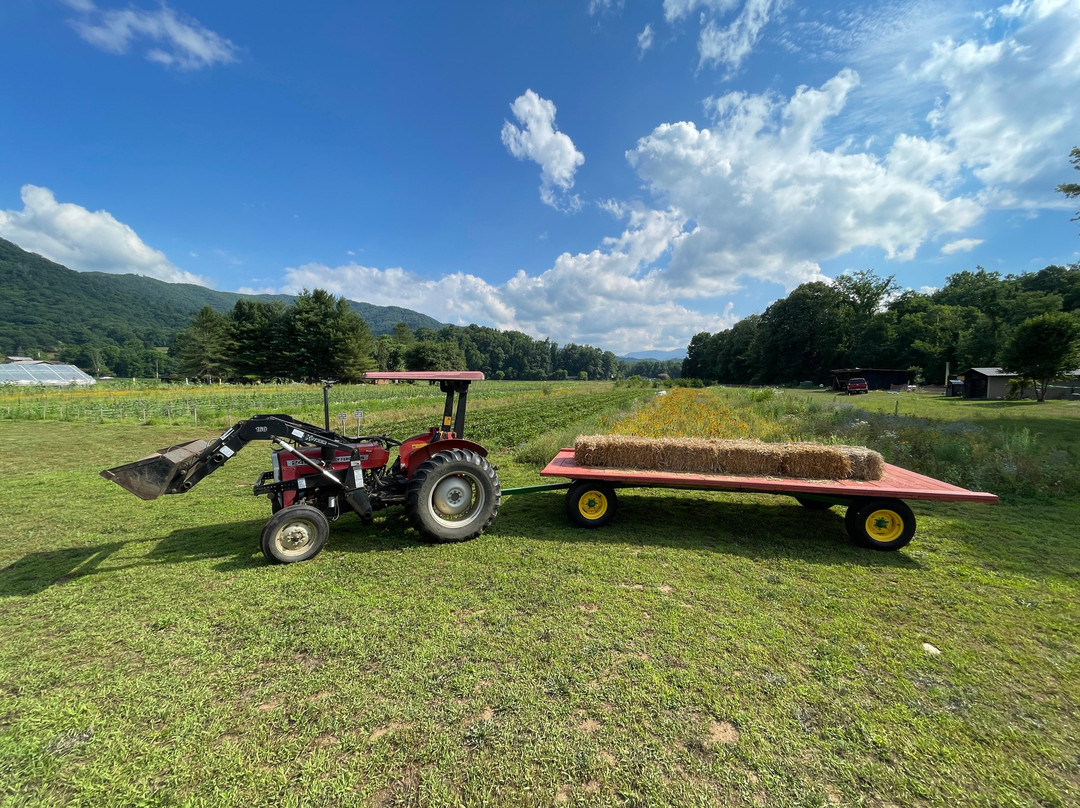 The Ten Acre Garden-Canton必去景点