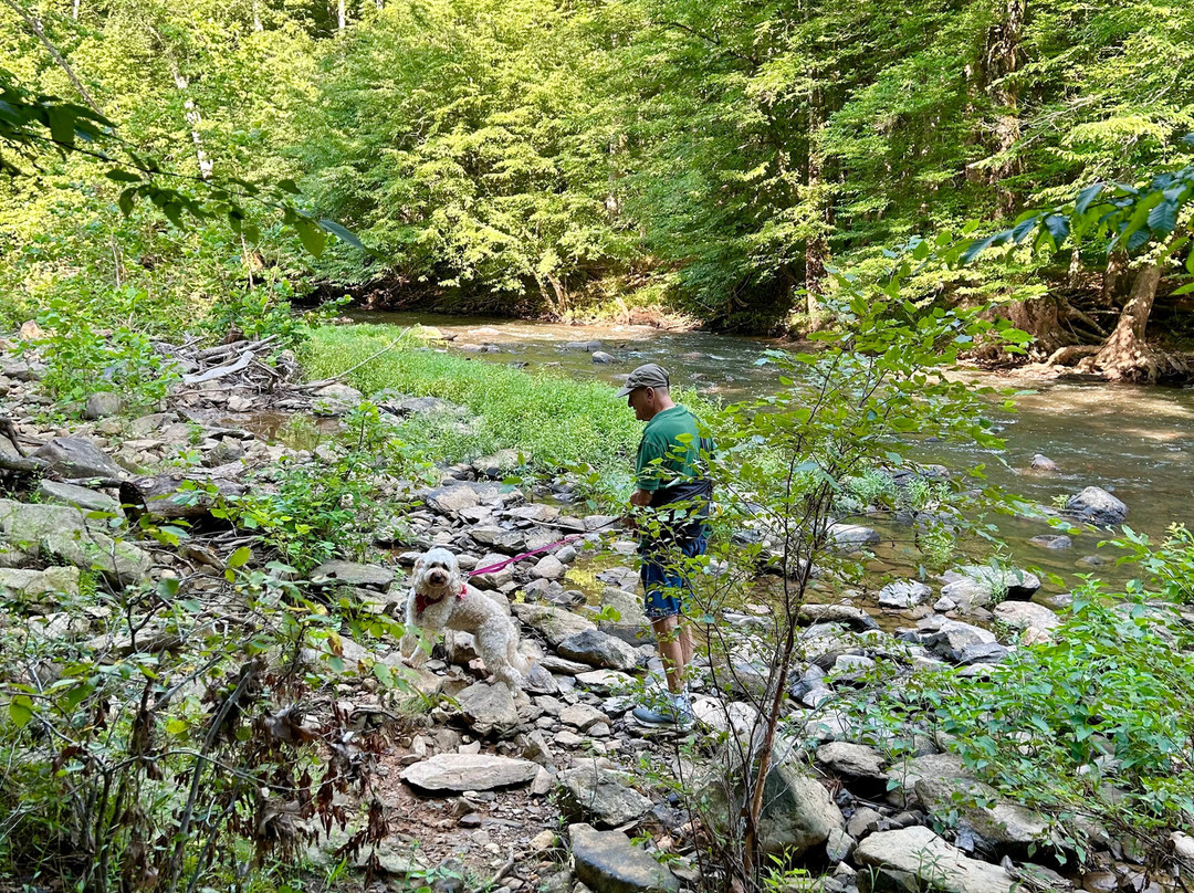 Eno River State Park景点图片