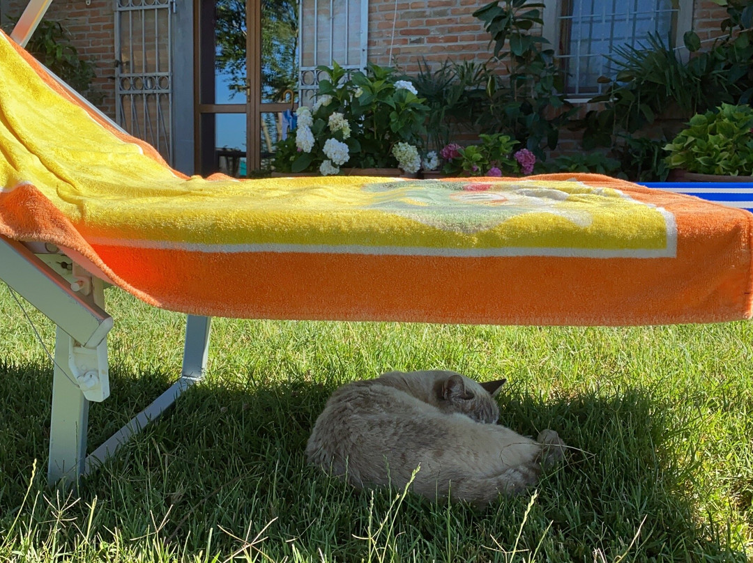 Il Frattiero Bed and Breakfast主图