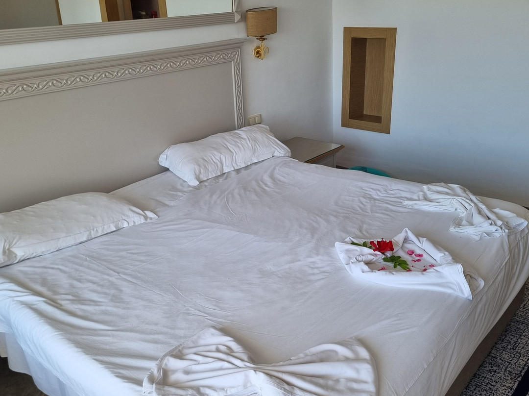 Marhaba Royal Salem主图