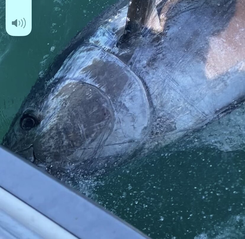 Big Fish Charters-Marshfield必去景点