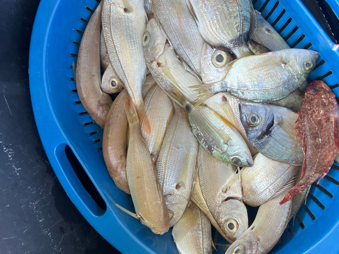Kefalonia Fishing Tours景点图片