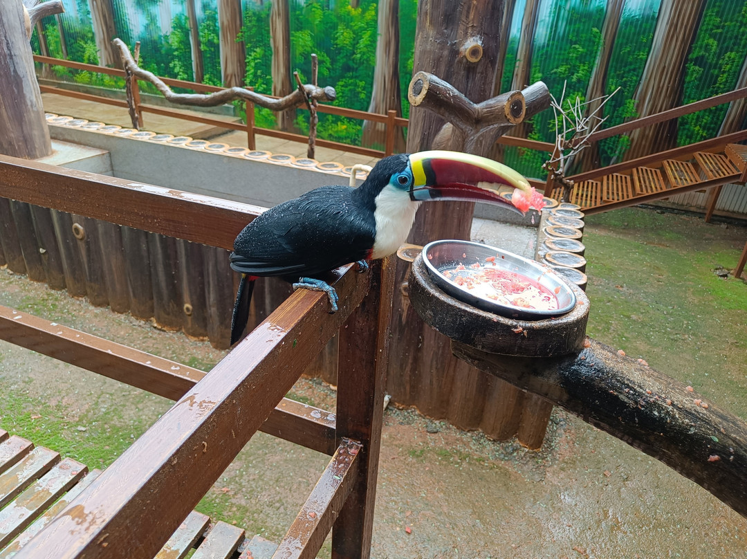 Peeku Park Yercaud-亚尔考德必去景点