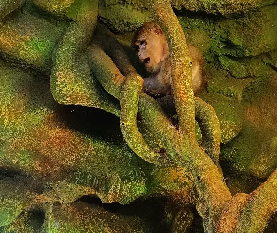 Latgale Zoological Garden-Daugavpils必去景点