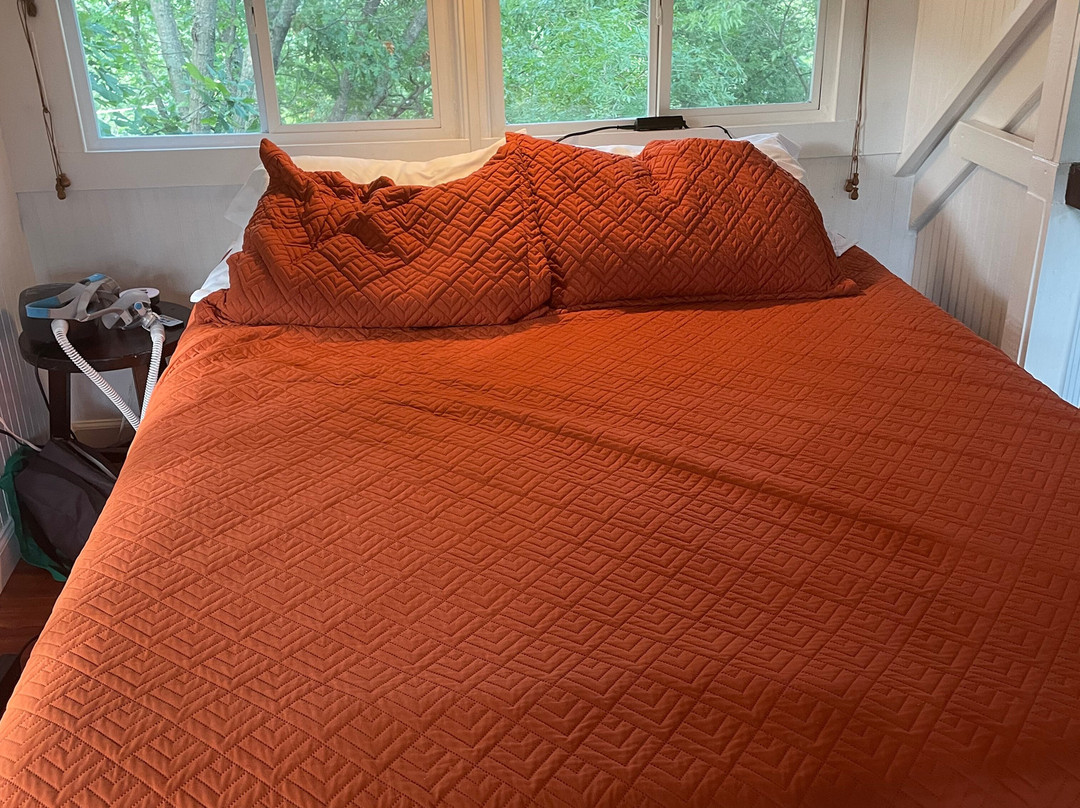 The Cottage | Treehouses & Cabins主图