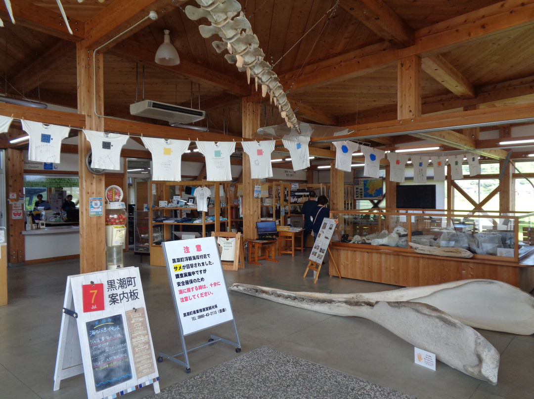 Michi-no-Eki Biosu Ogata-黑潮町必去景点