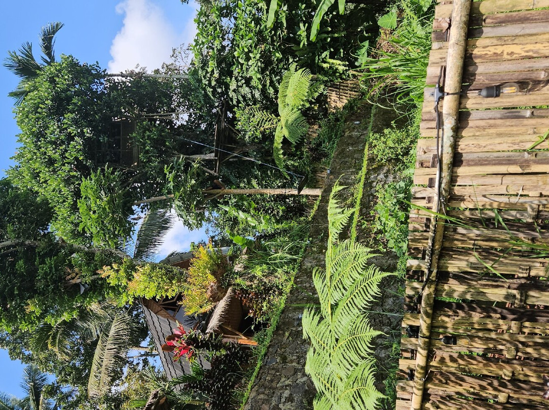 Tetebatu Sama Sama Bungalows主图