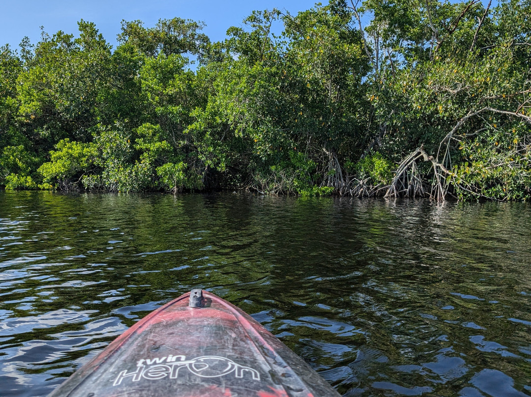 Tour The Glades - Private Wildlife Tours景点图片