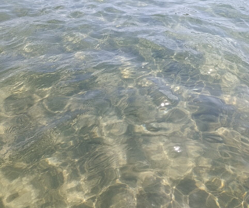 Platja Arrabassada-塔拉戈纳必去景点
