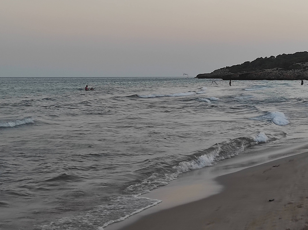 Platja Llarga景点图片