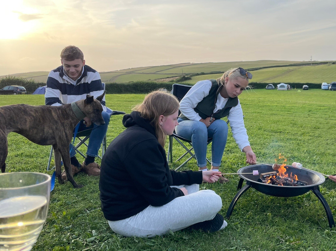 Combas Farm Camping主图