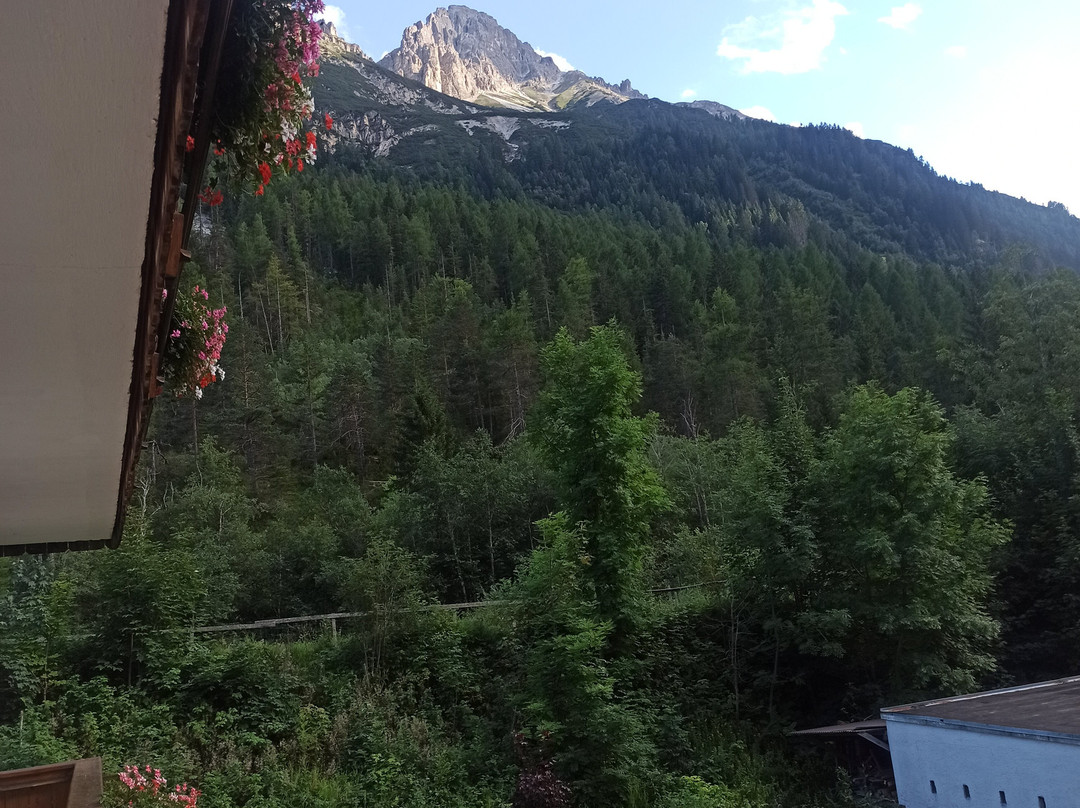 Pension Nina & Gasthof Alpenrose主图