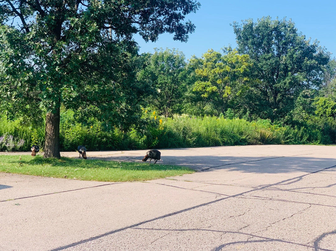 University of Wisconsin-Madison Arboretum-麦迪逊必去景点