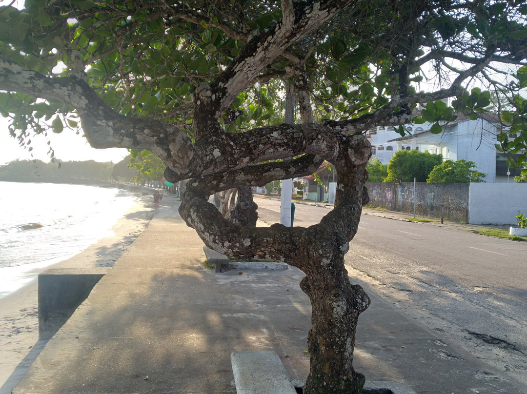 Murubira Beach-Mosqueiro必去景点