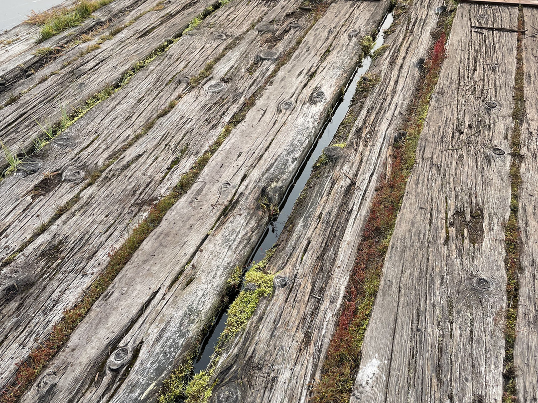 Pourvoirie Au pays de Réal Massé-Saint Zenon必去景点