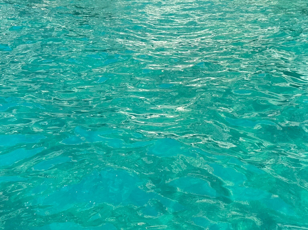 Sottovento Boat Rentals-萨勒诺必去景点