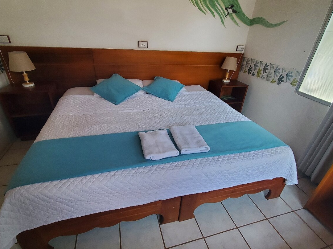 Hotel Coral Blanco主图