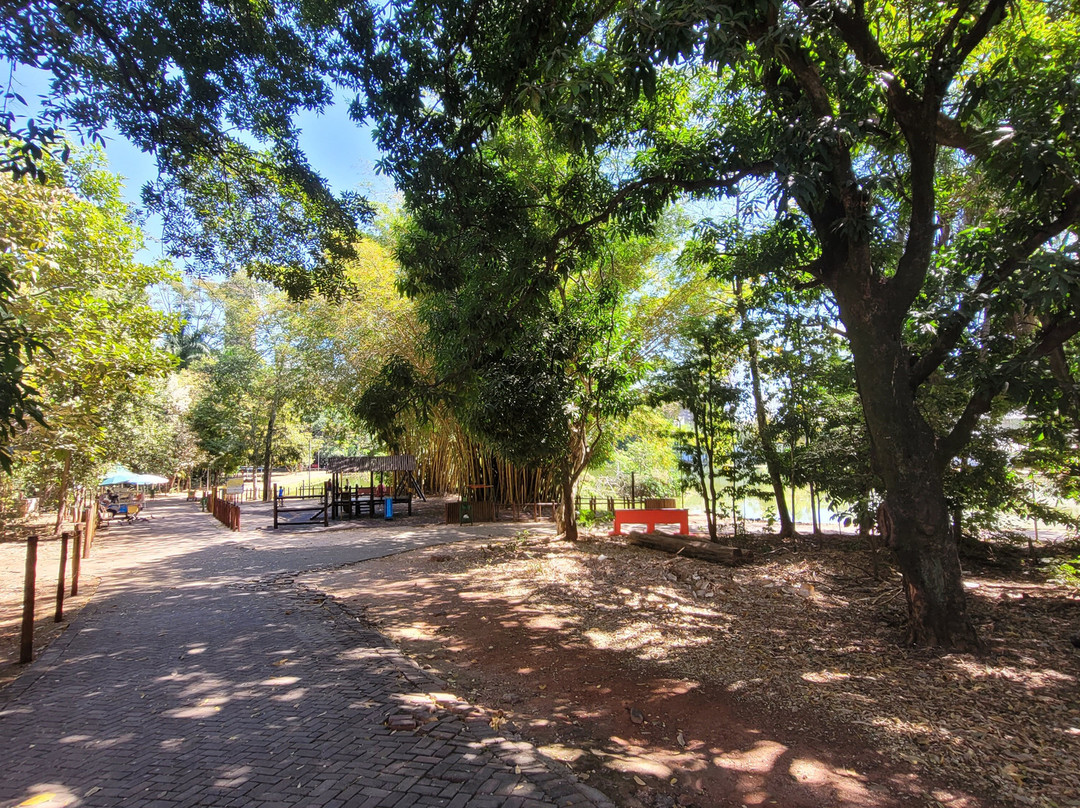 Bosque dos Buritis-戈亚尼亚必去景点