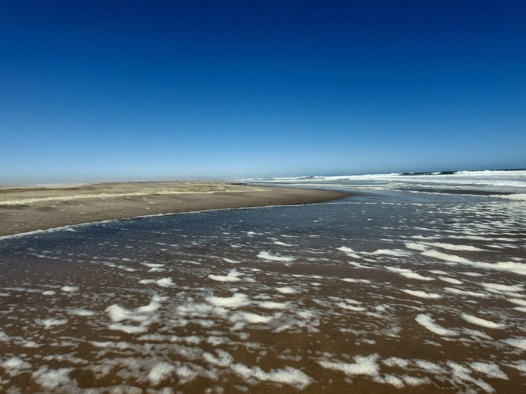 Zeila Shipwreck-Henties Bay必去景点