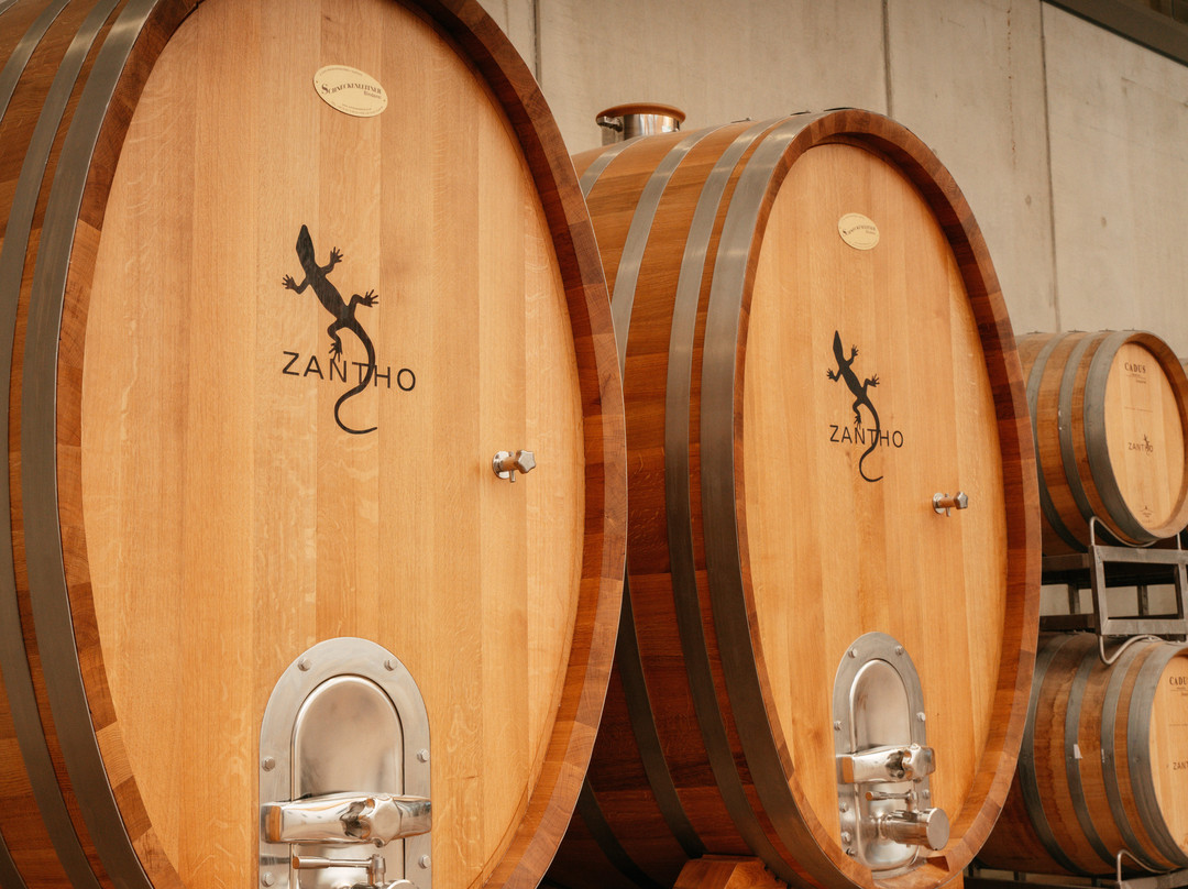 Weingut Zantho景点图片
