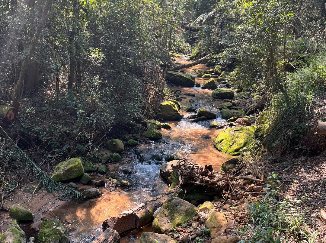 Buraco Do Padre景点图片