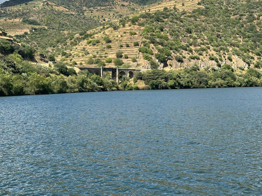 Douro Promenade -Douro Valley Private Tours景点图片
