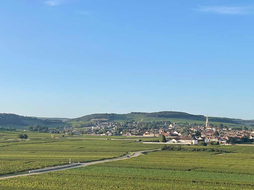 France Montgolfieres景点图片