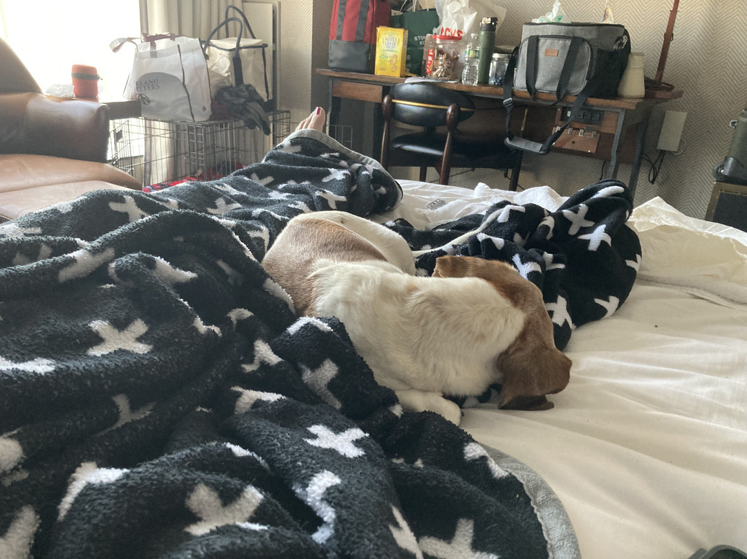 自由酒店 - 波士顿万豪豪华精选酒店主图