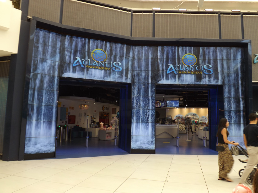 Atlantis Aquarium Madrid-阿罗约莫利诺斯必去景点