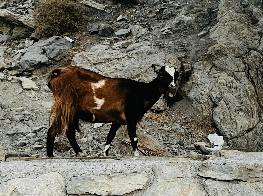 Thermal Springs of Kos-Agios Fokas必去景点