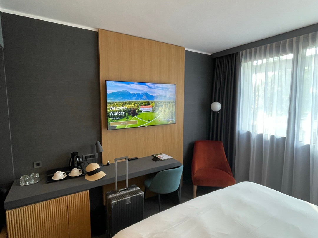 Elegans Hotel Brdo主图