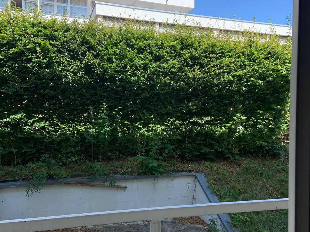 Vitalhotel König am Park主图