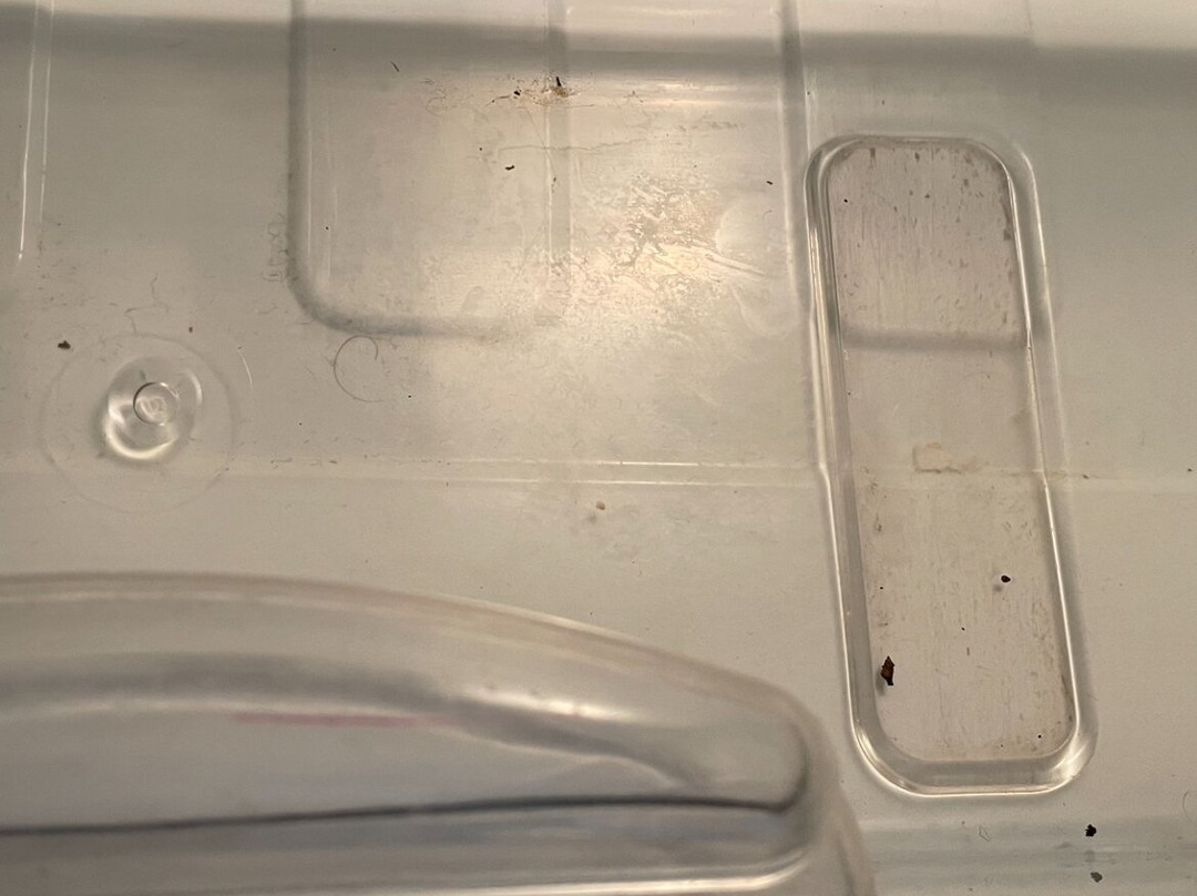 The Grapevine Motel主图