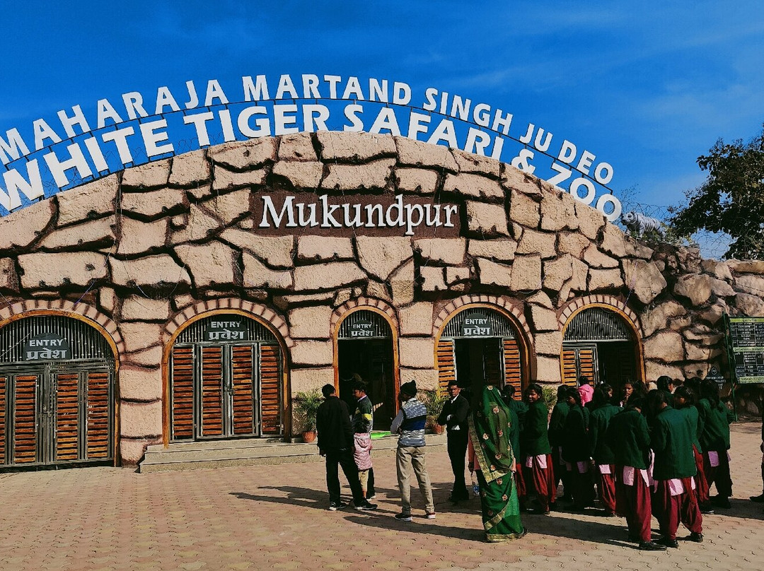 White Tiger Safari Rewa景点图片
