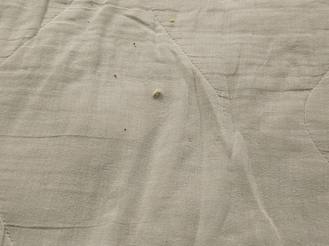 Holiday Inn Express & Suites Cherry, an IHG Hotel主图