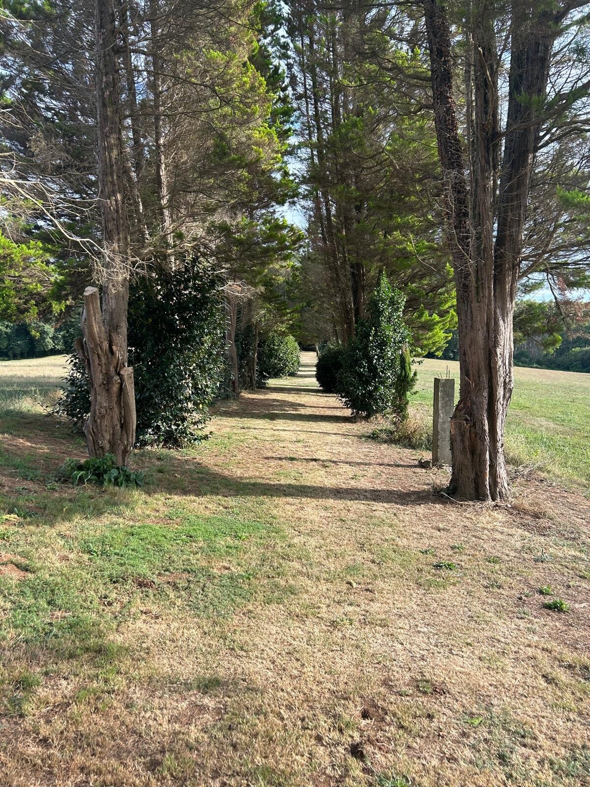 Pazo de Andeade-官方