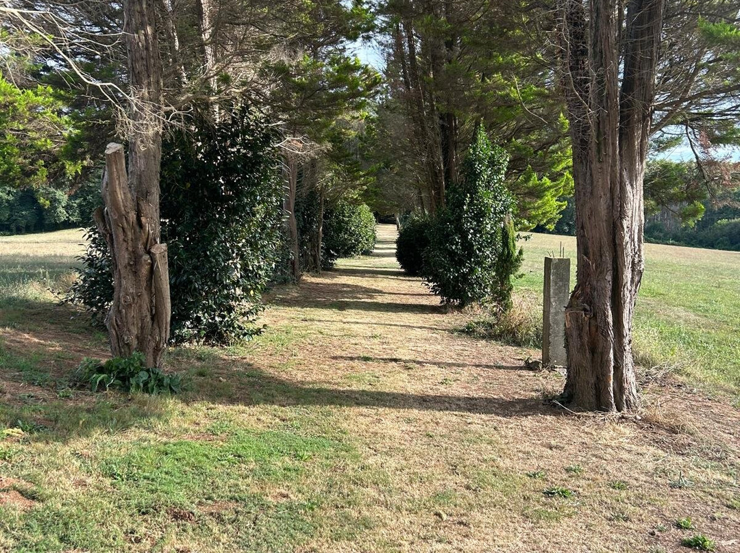 Pazo de Andeade主图