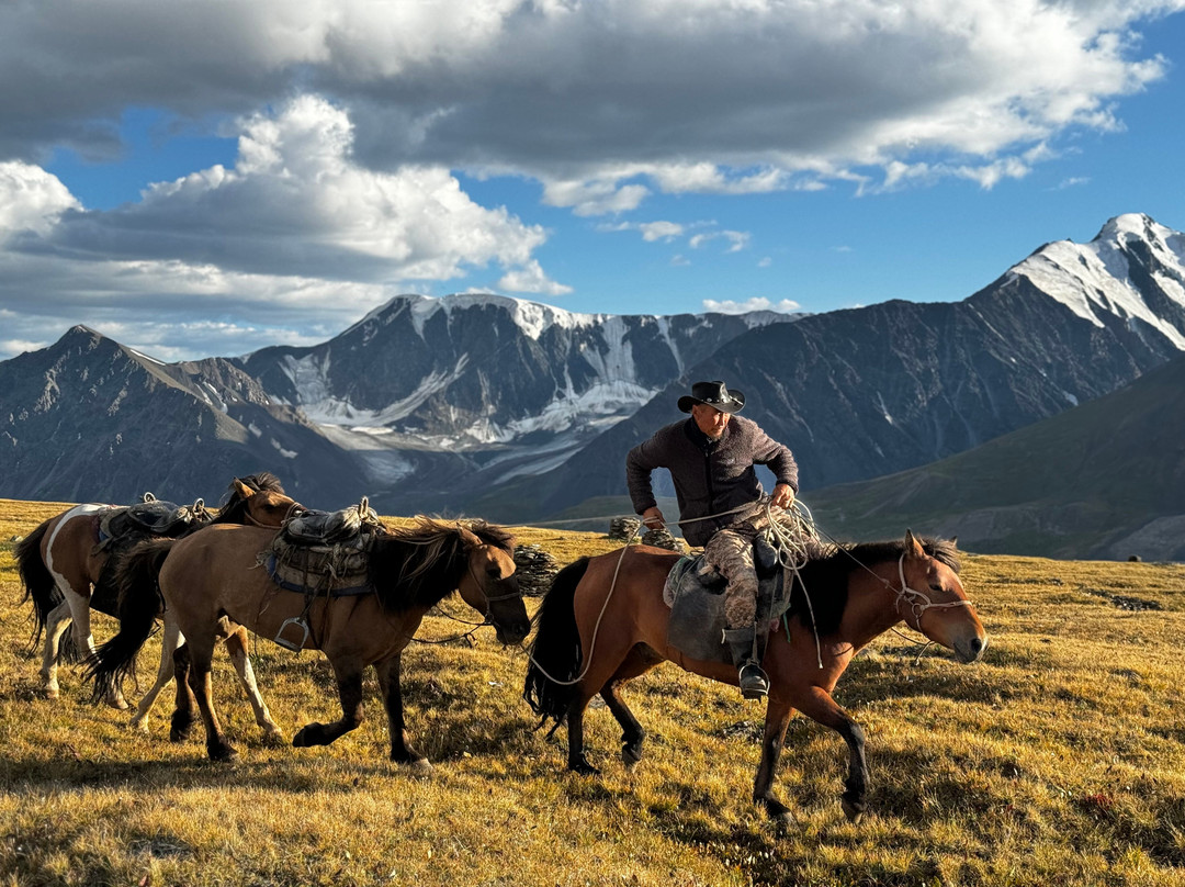 Camel Track-乌兰巴托必去景点