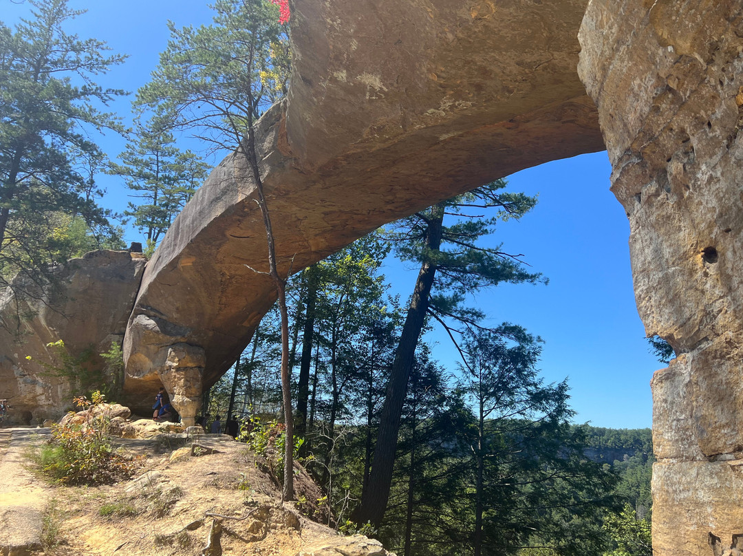 Sky Bridge Trail