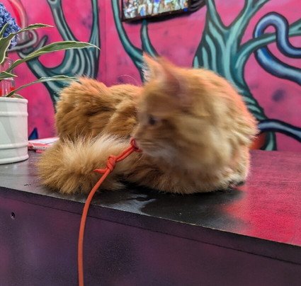 Red Brick Market Sheffield-谢菲尔德必去景点