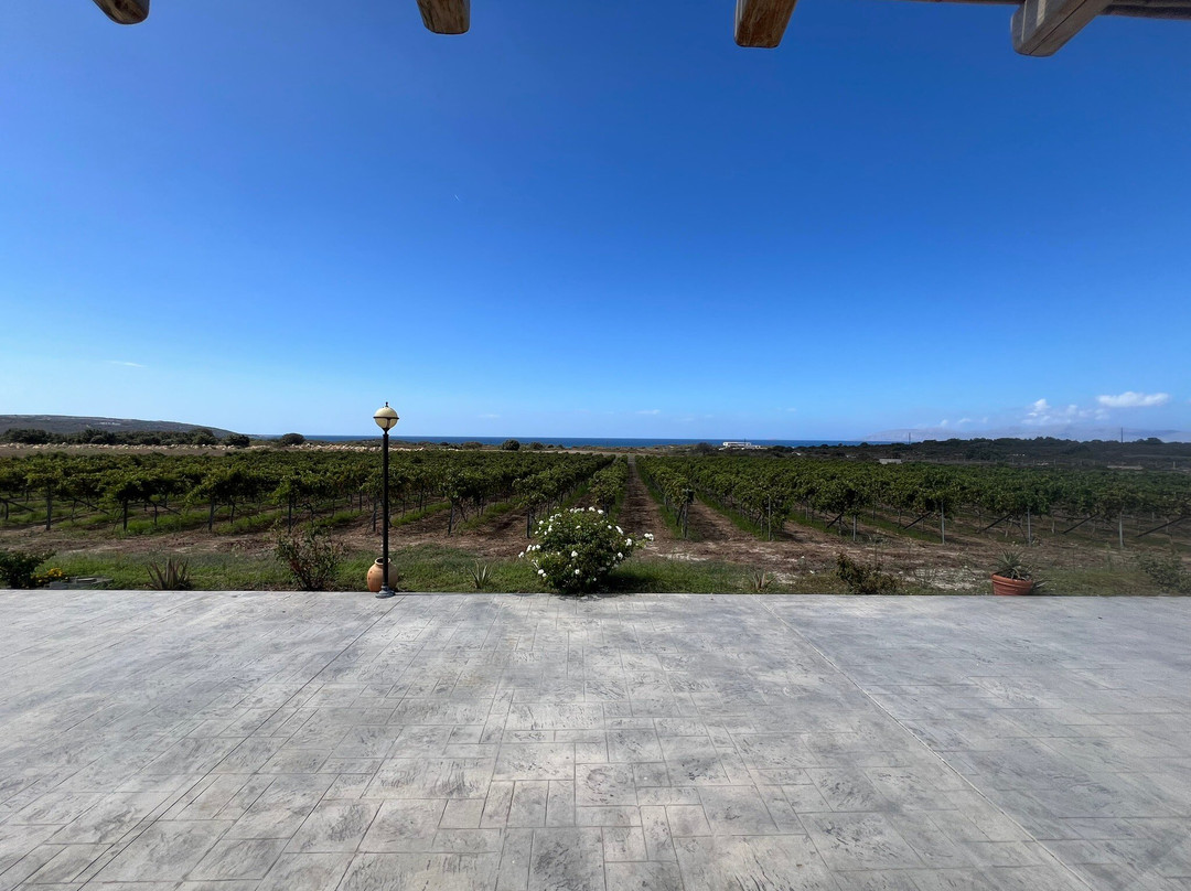 Volcania Winery-凯法洛斯必去景点