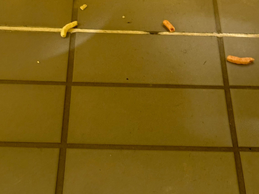 Cardiff International Pool And Gym-卡迪夫必去景点