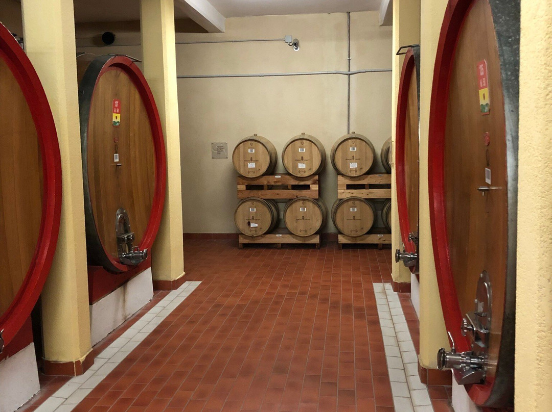 Cantina Valpolicella Negrar景点图片
