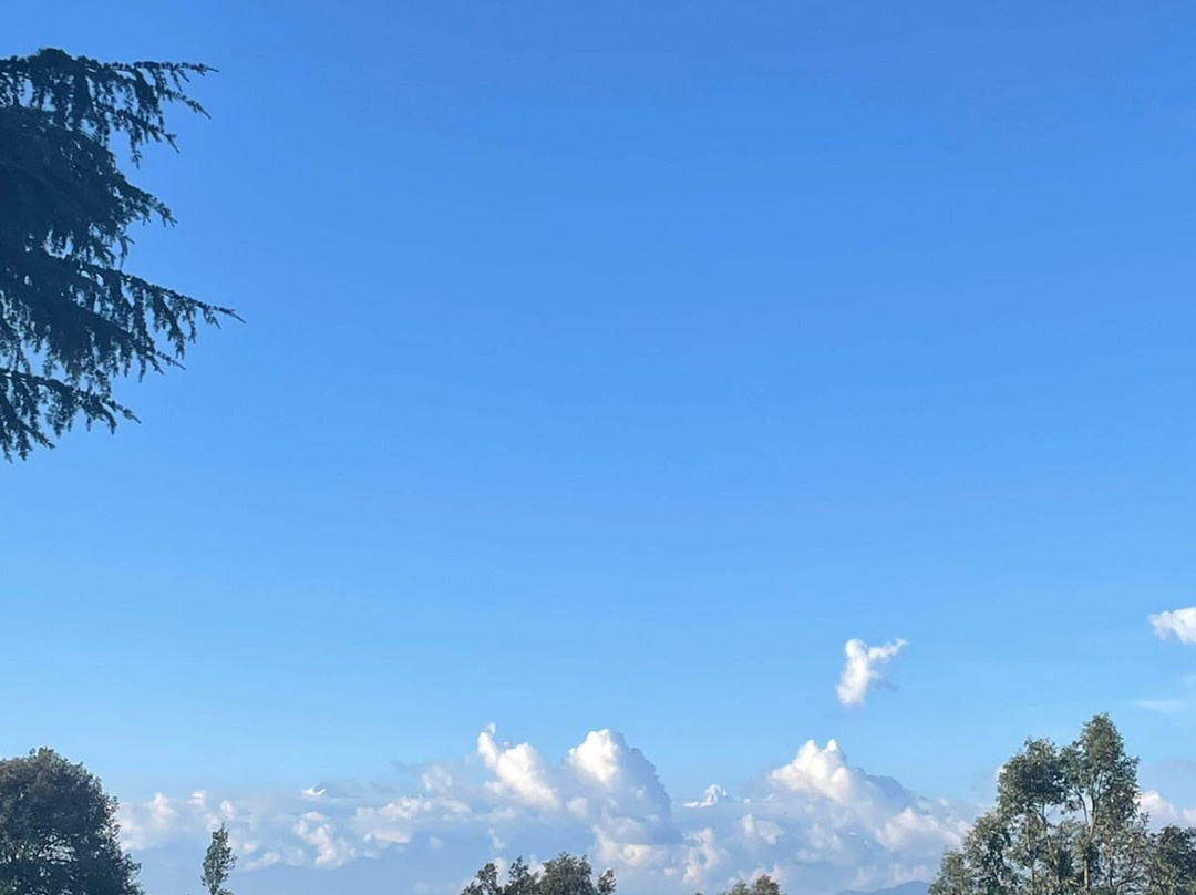 The Orchard at Peora Estates主图