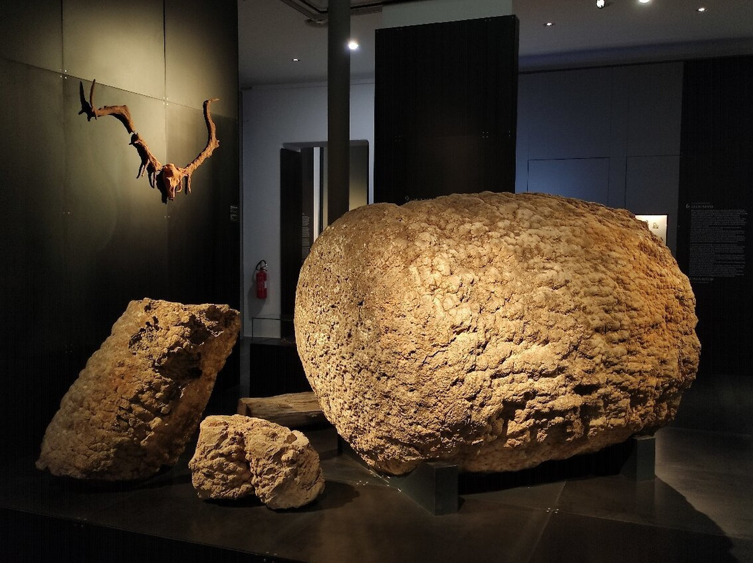 Museo Nazionale Giovanni Antonio Sanna-萨萨里省必去景点