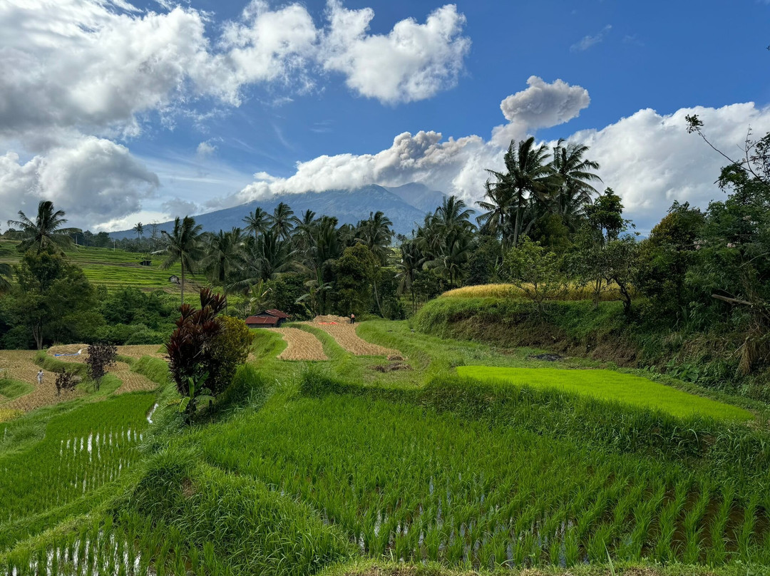 Lite 'N' Easy Tour-武吉丁宜必去景点