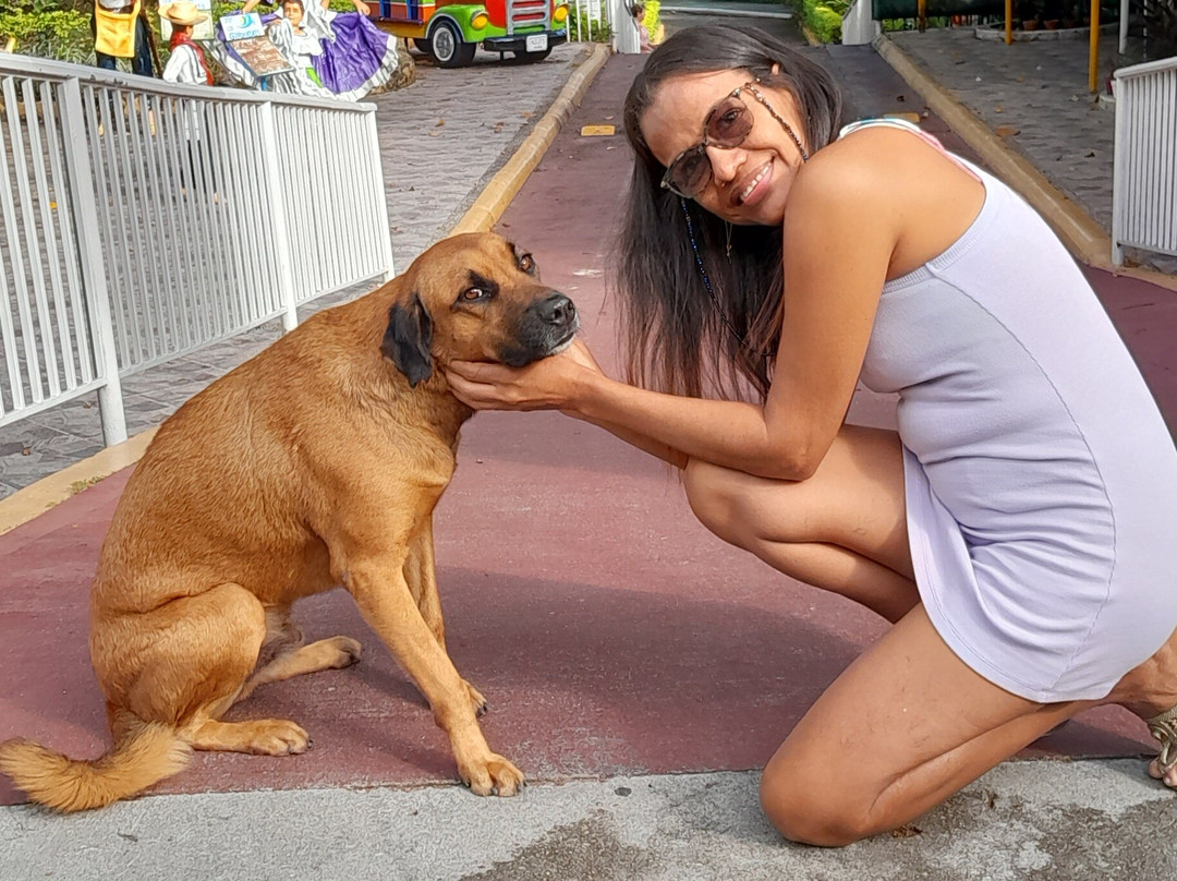 Hotel Campestre Los Gabrieles主图