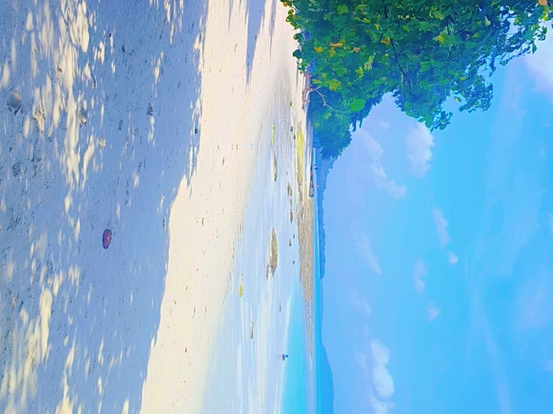 Fort Holidays Andamans-布莱尔港必去景点