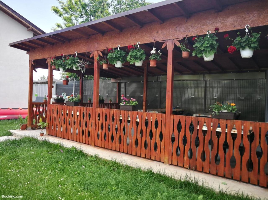 Vila Baciu